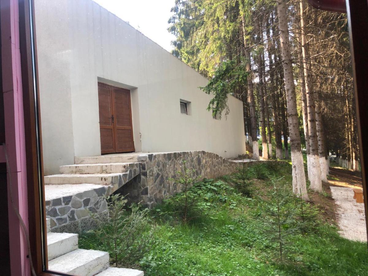 Genco Hotel Mountain View Predeal Exterior foto